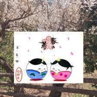 ４月４日（日）日本一のアート御朱印の宝庫群馬県桐生市寺社めぐり　...