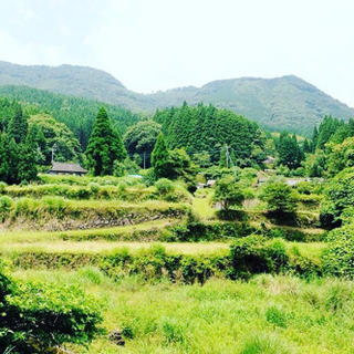 宮崎県えびの市に引っ越ししてきました。　　お友達募集中 - えびの市