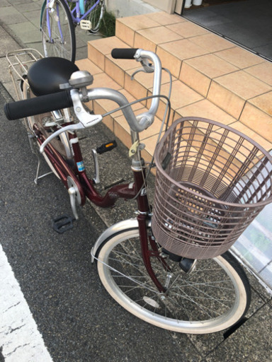 丸石　ティータイム220 RED