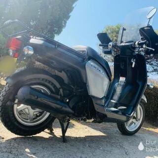 HONDA BENLY ベンリー即乗り❗配達‼️通勤‼️通学‼️保険付きすぐ乗れますの画像