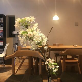 春婚活in双方形　春は何かワクワクを感じる季節。桜の花を愛でる季節に春の婚活パーティ始めます − 東京都