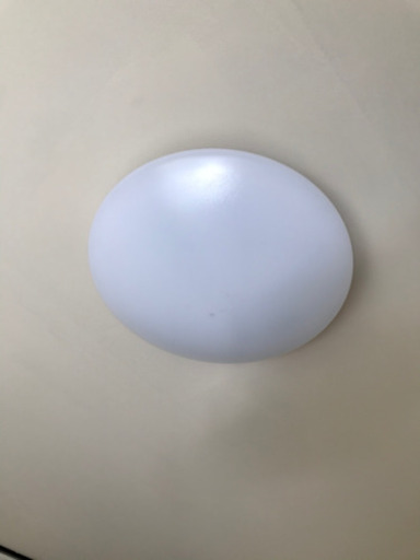 LED ライト