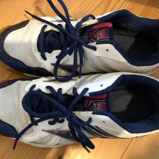 mizuno バレーボール　シューズ　25.5センチの画像