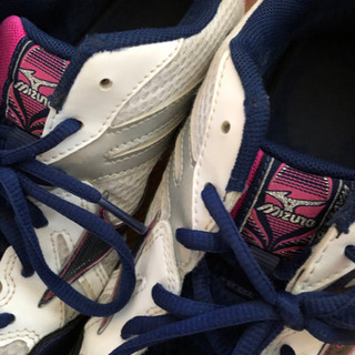 mizuno バレーボール　シューズ　25.5センチの画像