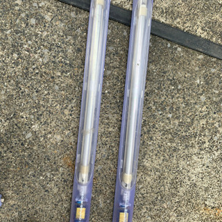 昔のネオン　実働品