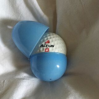 たまご型プラケース　10個の画像