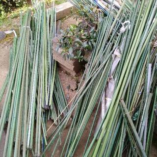 園芸用支柱あげます。