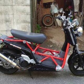 DAELIM B-BONEの画像