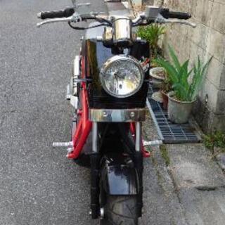 DAELIM B-BONEの画像