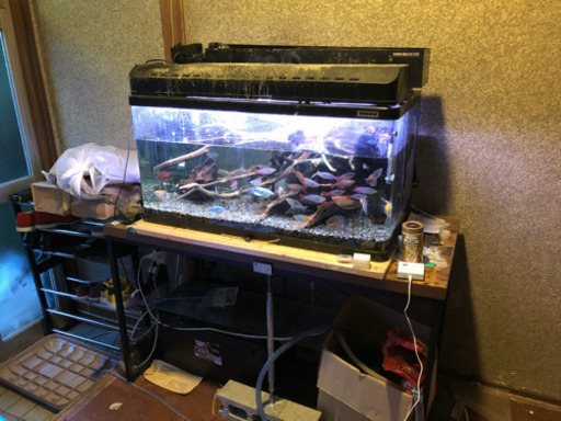 90センチ自作サイドオーバーフロー水槽