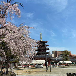 🌱お城✨寺社仏閣✨御朱印巡りなどが好きな方募集😊🌱 − 兵庫県
