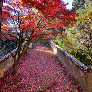 🌱お城✨寺社仏閣✨御朱印巡りなどが好きな方募集😊🌱 - チャット