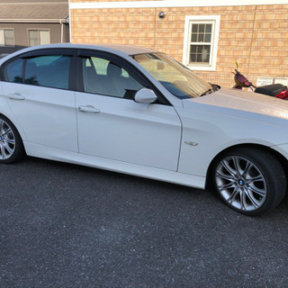 ★BMW320iハイライン、アルピンホワイト！の画像