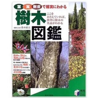樹木図鑑