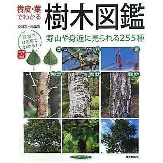 樹皮・葉でわかる樹木図鑑