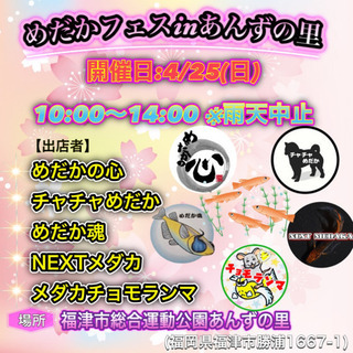 めだかフェスinあんずの里(宗像市総合運動公園)