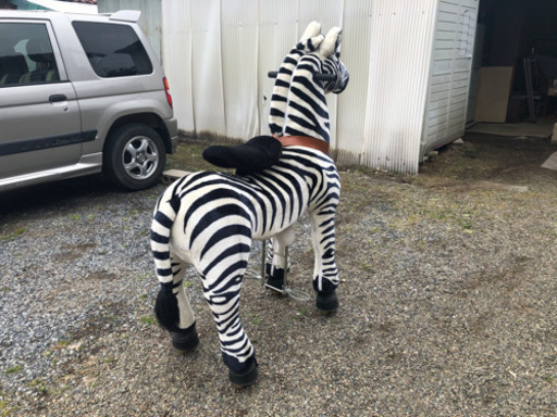 エコポニー　シマウマ　