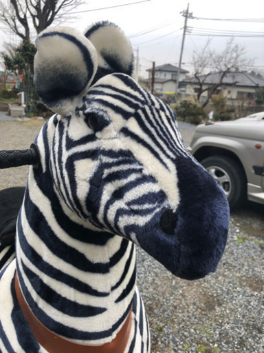 エコポニー　シマウマ　