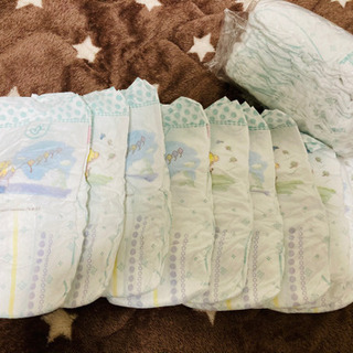 パンパーステープ　サイズL 20枚