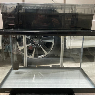 水槽 60cm 上部フィルター 600 値下げ特価