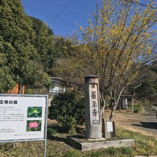 里山の整備や、４１号帷子インターの道路清掃、鳩吹山の清掃登山 楽しくボランティアやりませんか - 可児市