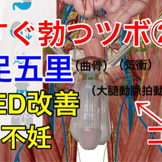 EDについてご相談ください。50代男性の3割以上が同じ悩みを持っていらっしゃいます。 - 福岡市
