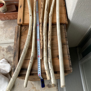 流木　1本300円の画像