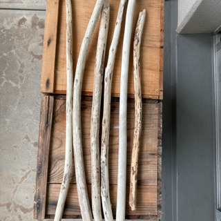 流木　1本300円の画像