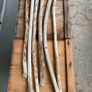 流木　1本300円の画像
