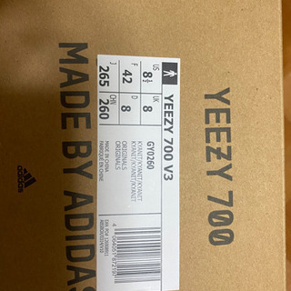 adidas originals YEEZY BOOST 700 V3の画像