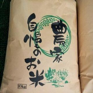 一等米！令和３年産 新米コシヒカリ お米 10㎏