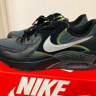 NIKE ナイキ エア マックス エクシーの画像
