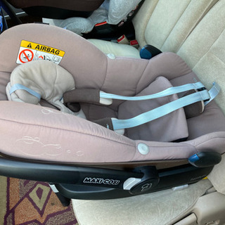 マキシコシペブル、パール、ファミリーフィックスの画像