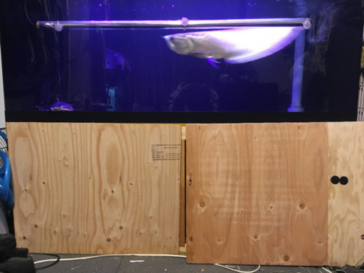 1500オーバーフロー水槽