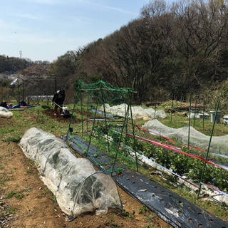 ユギ里山保全チーム参加者募集！