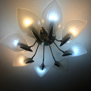 決定済み　照明器具の画像