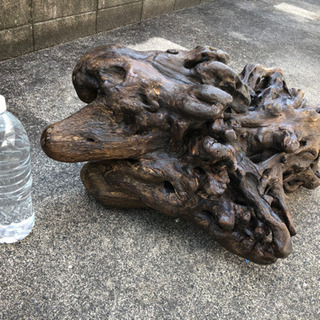 高級 流木 水槽 インテリア にの画像