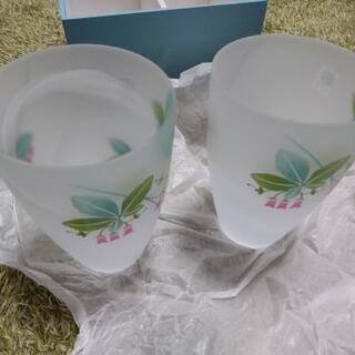 【新品未使用】たち吉 ようらく ペアビアグラスの画像