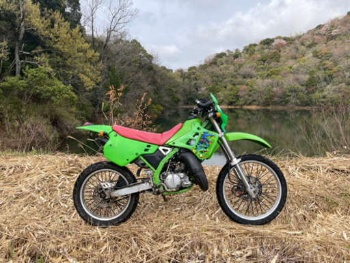 カワサキ kdx125 実働 すぐ乗れます