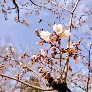 休日お散歩仲間
