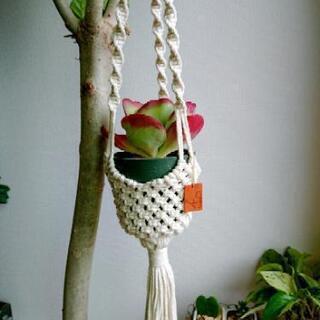 マクラメ  プラントハンガーの画像