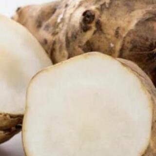 激安‼️最安値！！きくいも  ダイエット 糖尿病 薬 オーガニック 健康食品 茄子 ダイエット サラダ 健康 体重 肥満 メタボリックシンドローム 体脂肪 便秘 ヘルシー ノンカロリー 無農薬 有機栽培 有機肥料 断食 ビーガン 玄米菜食 自然食 一物全体食 旬野菜 食物 食べ物 食品 ご飯 アスリート 食事 台所 キッチン 大根 人参 ピーマン 唐辛子 紫蘇  ゴーヤ 冬瓜 トマト ねぎ
の画像