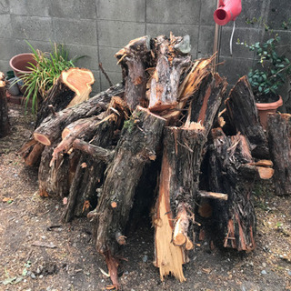 薪やキャンプに使って下さい