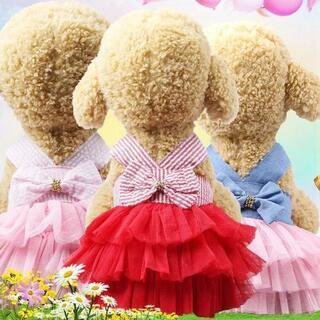 犬服 ペット 小型犬の画像