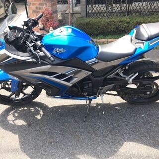 2016年モデル Ninja 250 ABS Special Editionの画像