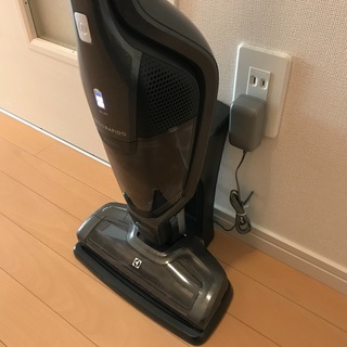 コードレス掃除機 Electrolux社製 中古(頻度少なめ) の画像