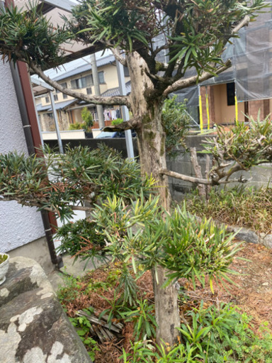 欲しい方連絡下さい