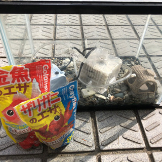 水槽　エアポンプ　砂利　メダカ　金魚　ザリガニ　飼育