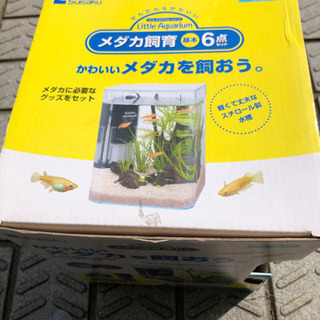 美品　メダカ飼育　水流が選べるエアポンプ　水槽　カルキ抜き