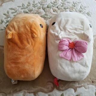 ぬいぐるみ カピバラさんの画像